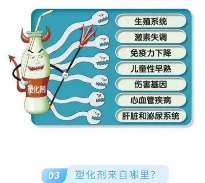 六千歲山茶油最新塑化劑檢測報告出爐，以零檢出率守護食用安全